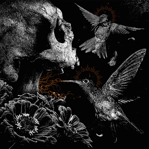 The Lumbar Endeavor : The Saints Take Flight